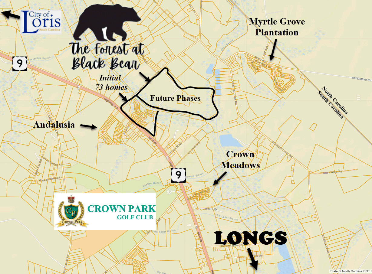 The Forest at Black Bear in Longs by D. R. Horton 